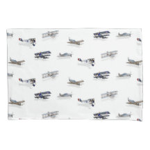 Avions en vol