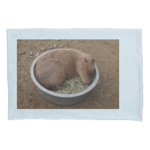 Housse D'oreillers Baby Capybara