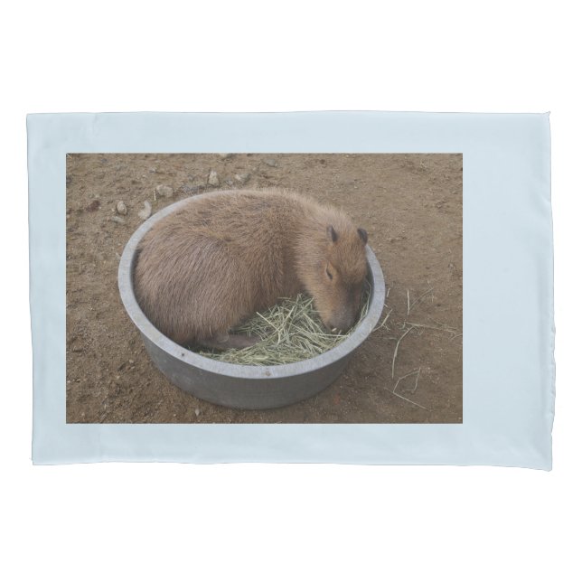 Housse D'oreillers Baby Capybara (devant)