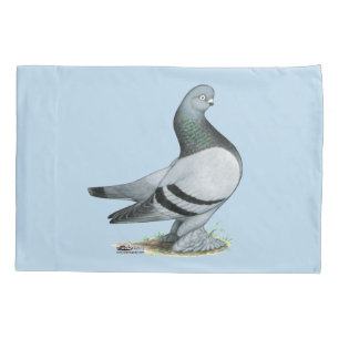 Housse D'oreillers Barre Bleue Berliner Tumbler Pigeon