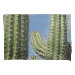 Housse D'oreillers Barrel Cactus I Desert Photo