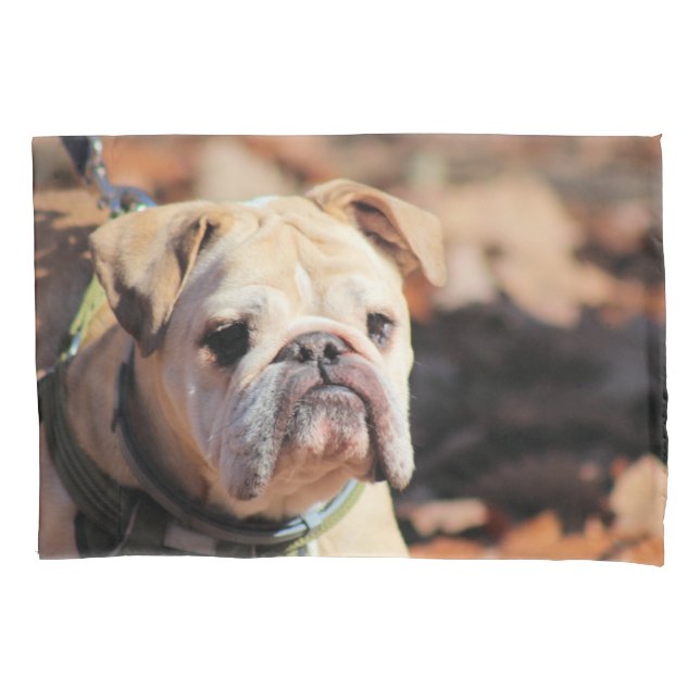 Housse D'oreillers Bulldog (devant)