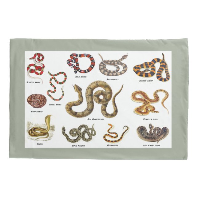 Housse D'oreillers Caisse de coussin d'identification de serpent (Dos)