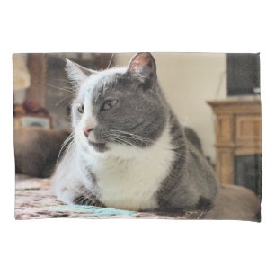 Housse D'oreillers Cat