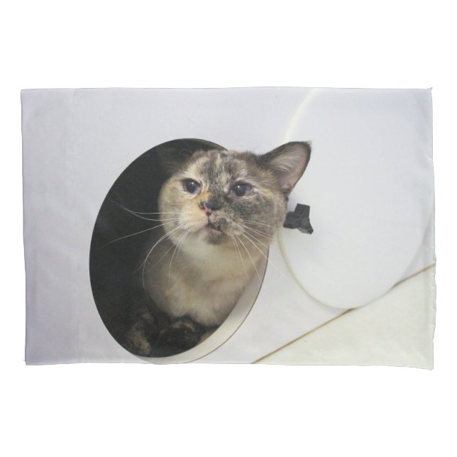 Housse D'oreillers Cat Fleece Blanche (devant)