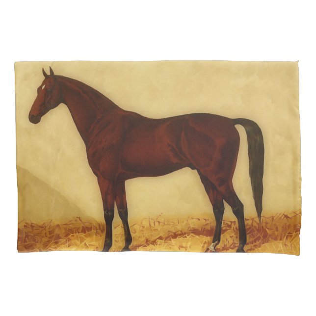 Housse D'oreillers Cheval Arabe avec le manteau de châtaigne (devant)
