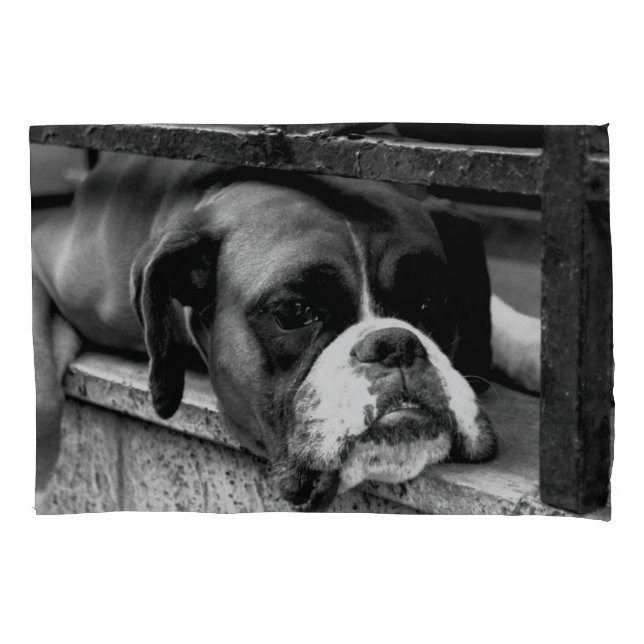 Housse D'oreillers Chien de boxe sur Windowsill pcna (devant)