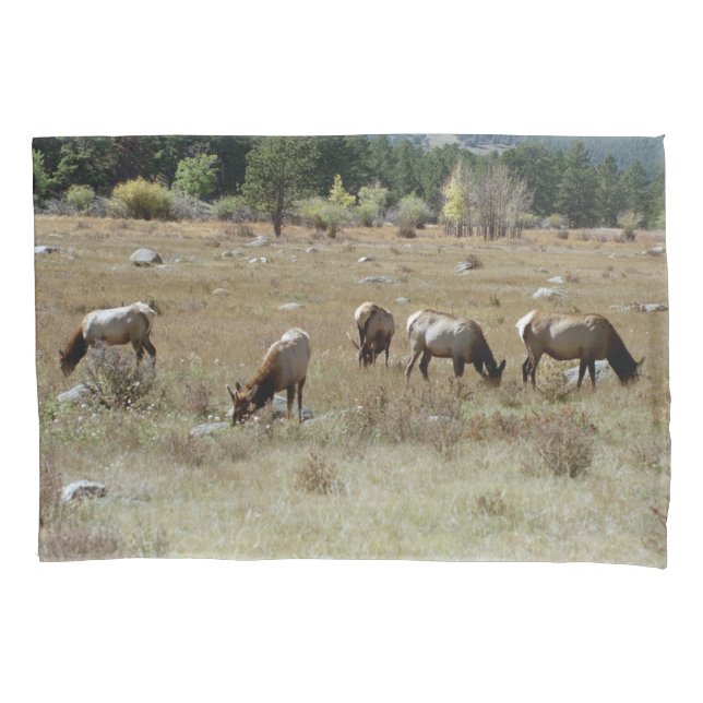 Housse D'oreillers Coque coussin double face Elk (devant)