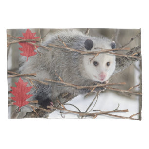 Housse D'oreillers Coque coussin Opossum Nature