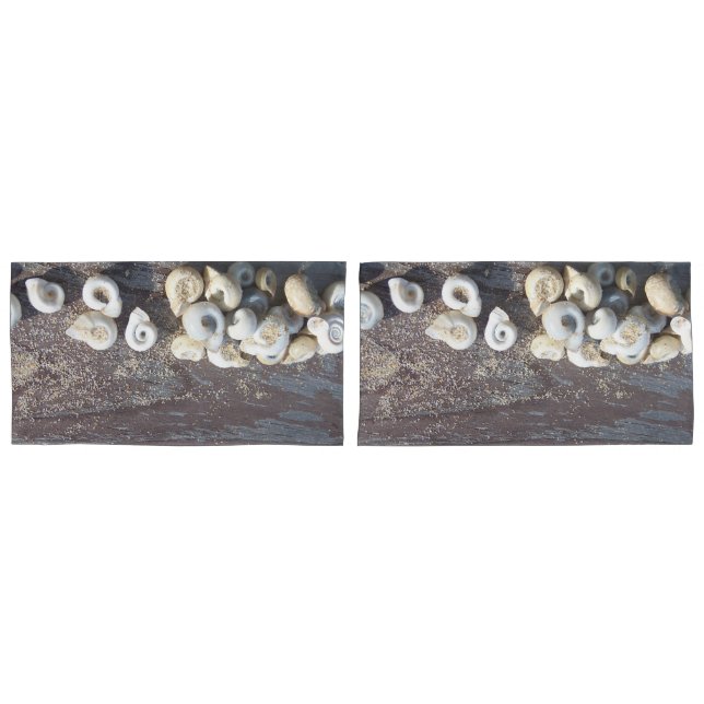 Housse D'oreillers Coquillages marins (devant-Set)
