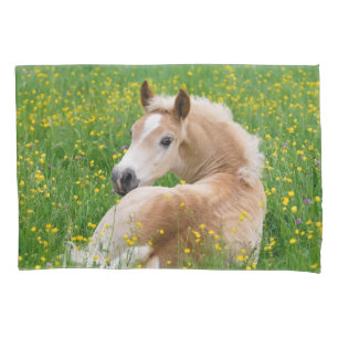 Housse D'oreillers Coussin-Couverture mignonne de parterre de poulain