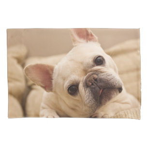 Housse D'oreillers Cutest Baby Animals French Bulldog Head Tilt