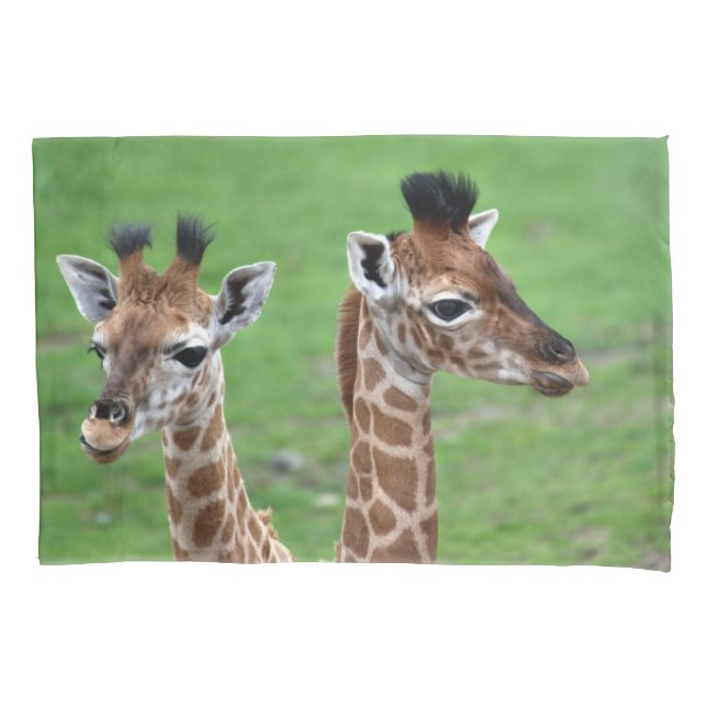 Housse D'oreillers Cutest Baby Animals | Two Baby Giraffes (devant)