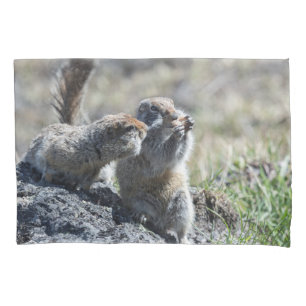 Housse D'oreillers Deux écureuils moulus mignons (Gopher, evrazki)