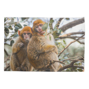 Housse D'oreillers Deux Mignons singes