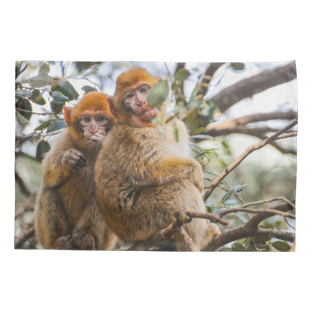 Housse D'oreillers Deux Mignons singes (Dos)