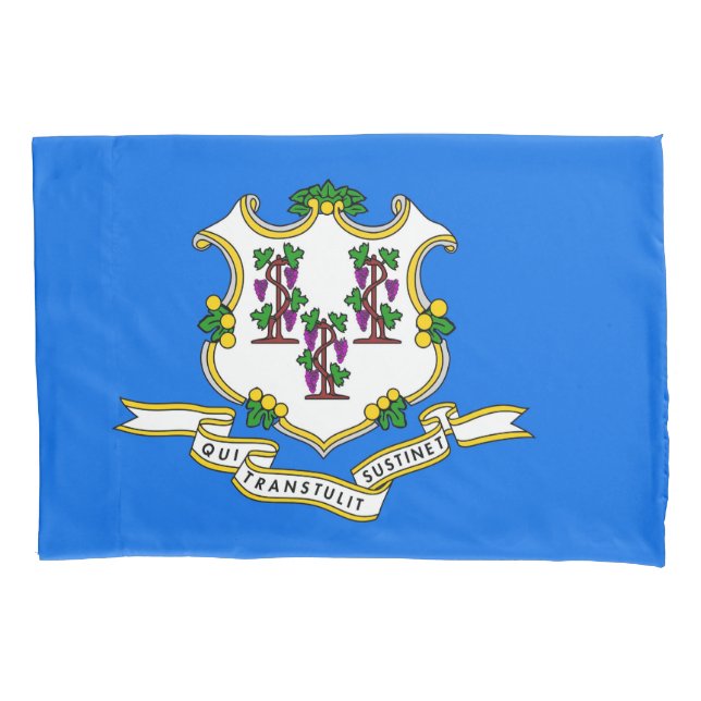 Housse D'oreillers Drapeau Patriotique simple oreiller du Connecticut (devant)