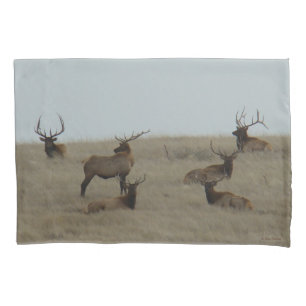 Housse D'oreillers E41 Élan mâle gros taureaux couchés