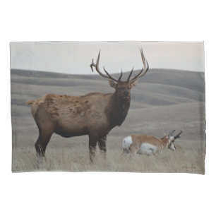 Housse D'oreillers E63 Élan mâle et antilope mâle