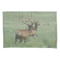 Elk taureau E56 en velours
