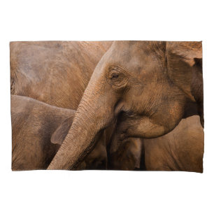 Housse D'oreillers Famille des éléphants : Faune majestueuse