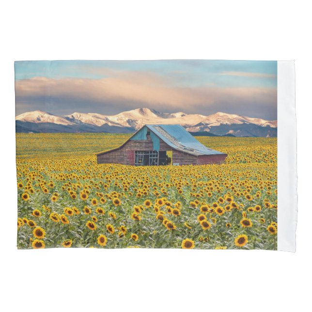 Housse D'oreillers Farms | Field (devant)
