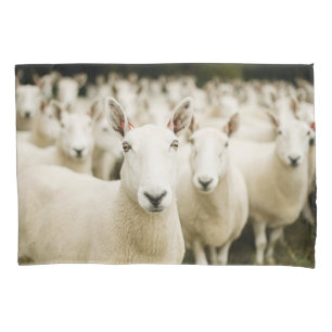 Housse D'oreillers Fermes Troupeau de moutons