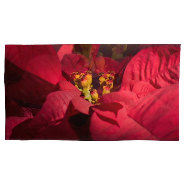 Housse D'oreillers Fleur de Noël rouge Poinsettia (devant-gauche)