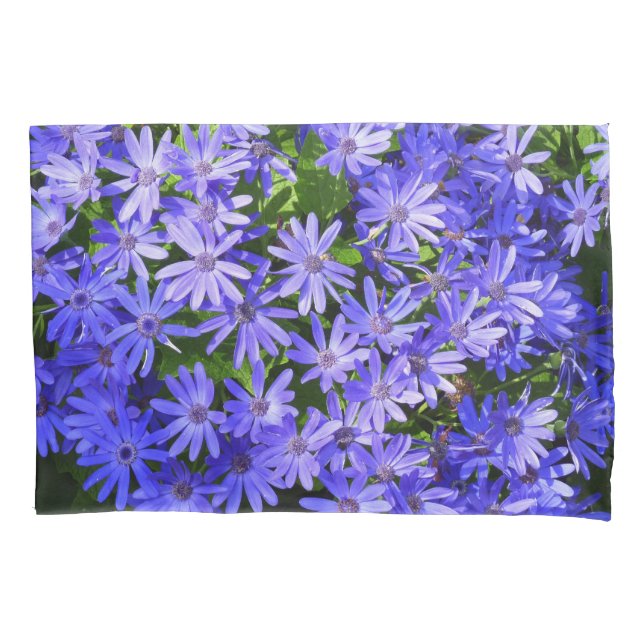 Housse D'oreillers Fleurs bleues à la marguerite Nature Photographie (devant)