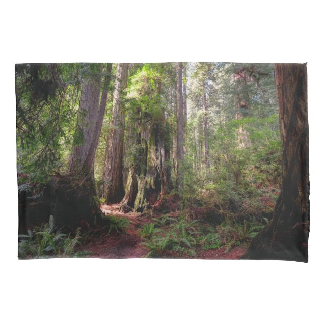 Housse D'oreillers Forests | Redwood Forest California (devant)
