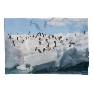 Housse D'oreillers Gentoo Penguin Antarctica Iceberg Playtime