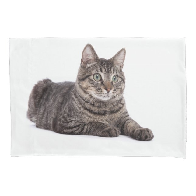 Housse D'oreillers Gray Tabby Cat (devant)