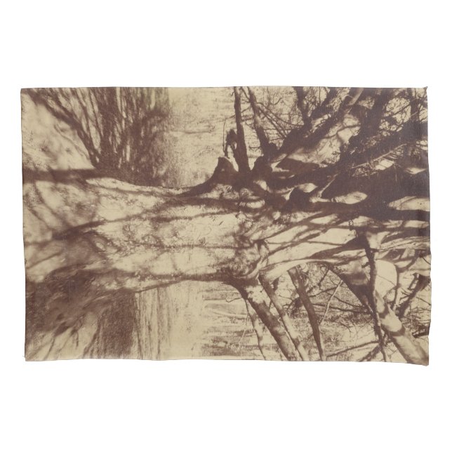 Housse D'oreillers Hêtre (par Eugène Atget) (devant-gauche)