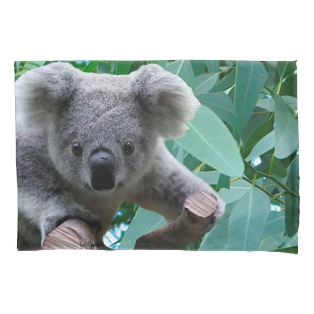 Housse D'oreillers Koala et eucalyptus (devant)