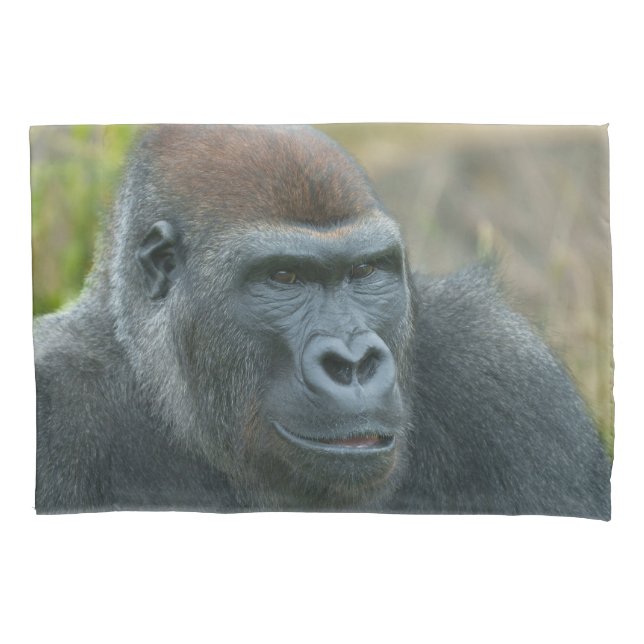 Housse D'oreillers La Gorille du Blackback Regal (devant)