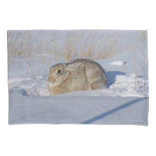 Housse D'oreillers Lapin Cottontail R5 dans la neige