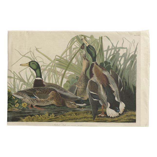 Housse D'oreillers Le canard colvert des oiseaux d'Amérique d'Audubon (Dos-gauche)