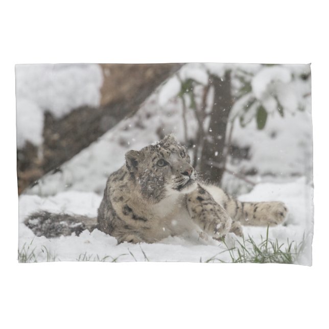 Housse D'oreillers Léopard de neige curieux dans la neige (devant)