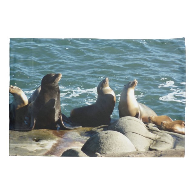 Housse D'oreillers Lions de la mer de San Diego (Dos)