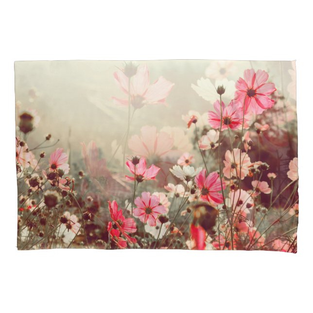 Housse D'oreillers Lumière du matin, cosmos rose fleurissant. (devant)