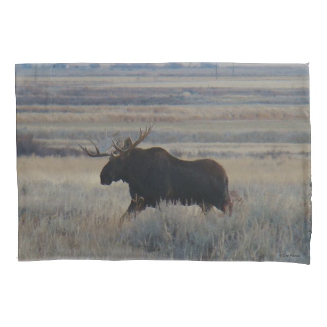 Housse D'oreillers M2 Bull Moose dans les Prairies (devant)