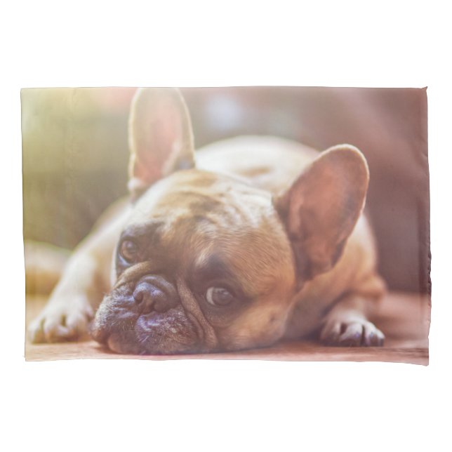 Housse D'oreillers Magnifique bulldog français allongé (devant)