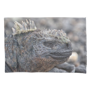 Housse D'oreillers Marine Iguana