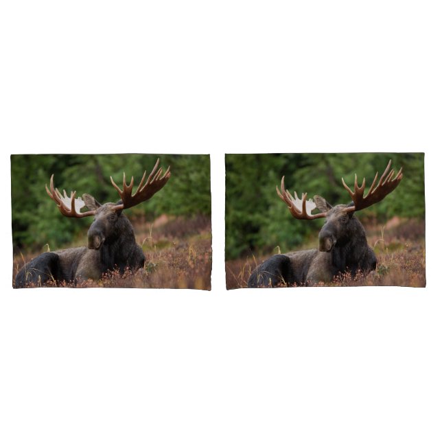 Housse D'oreillers Moose Photo Bois, Forêt, Nature (devant-Set)
