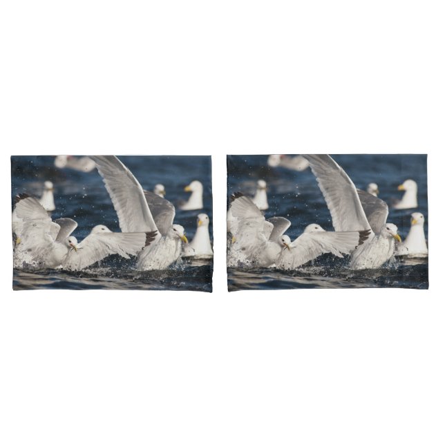 Housse D'oreillers Mouettes émergentes (devant-Set)