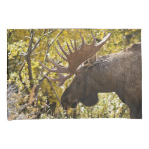 Housse D'oreillers Noble taureau