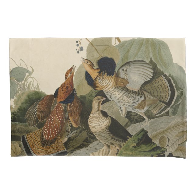 Housse D'oreillers Oiseau de gibier Audubon (devant)