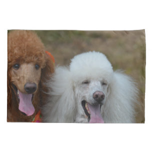 Housse D'oreillers Paires de caniches