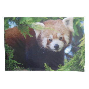 Housse D'oreillers Panda rouge