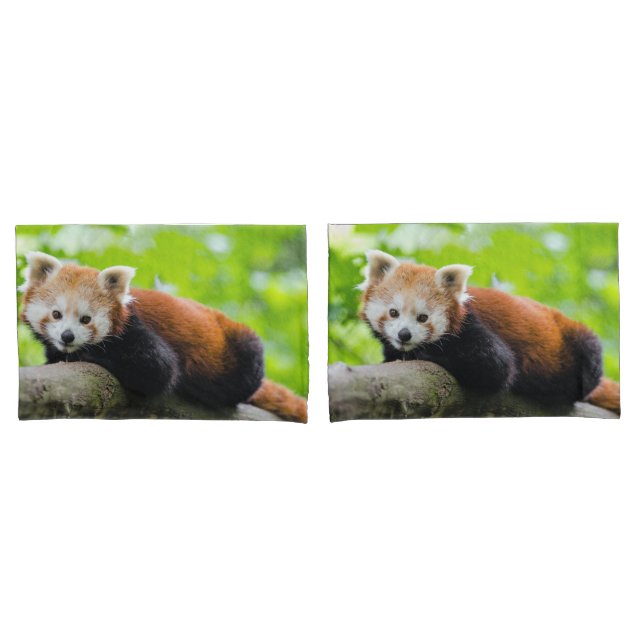 Housse D'oreillers Panda rouge (devant-Set)